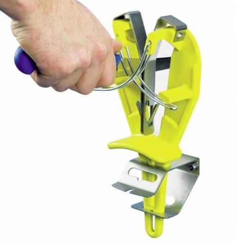 56ce1365-ffdc-4f25-9419-743954ab9b73