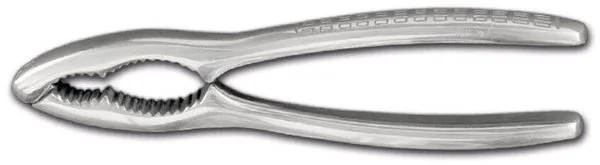 mini1c4f8181-5b60-4552-a051-90d6c403fdcb